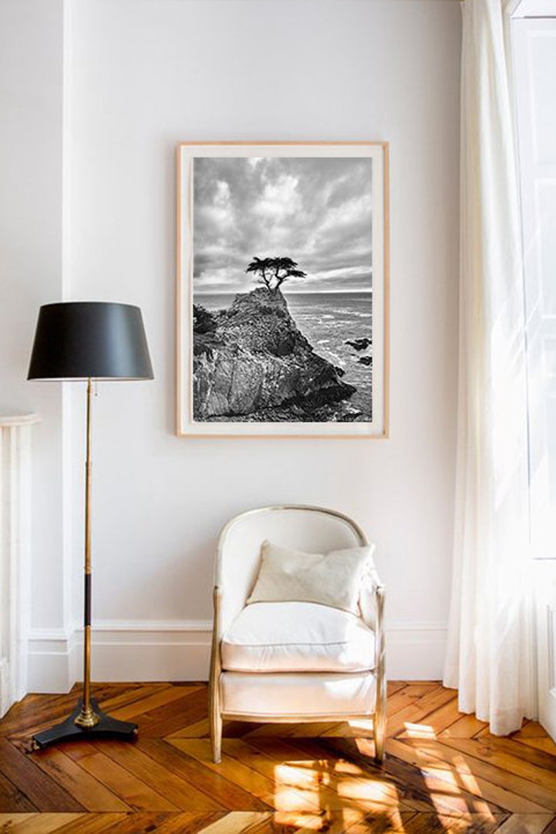 Black and White Photography tree Pacific ocean 20x30 coastal landscapes 16x20 tree pictures 11x14 tree photography large wall art Never image 2