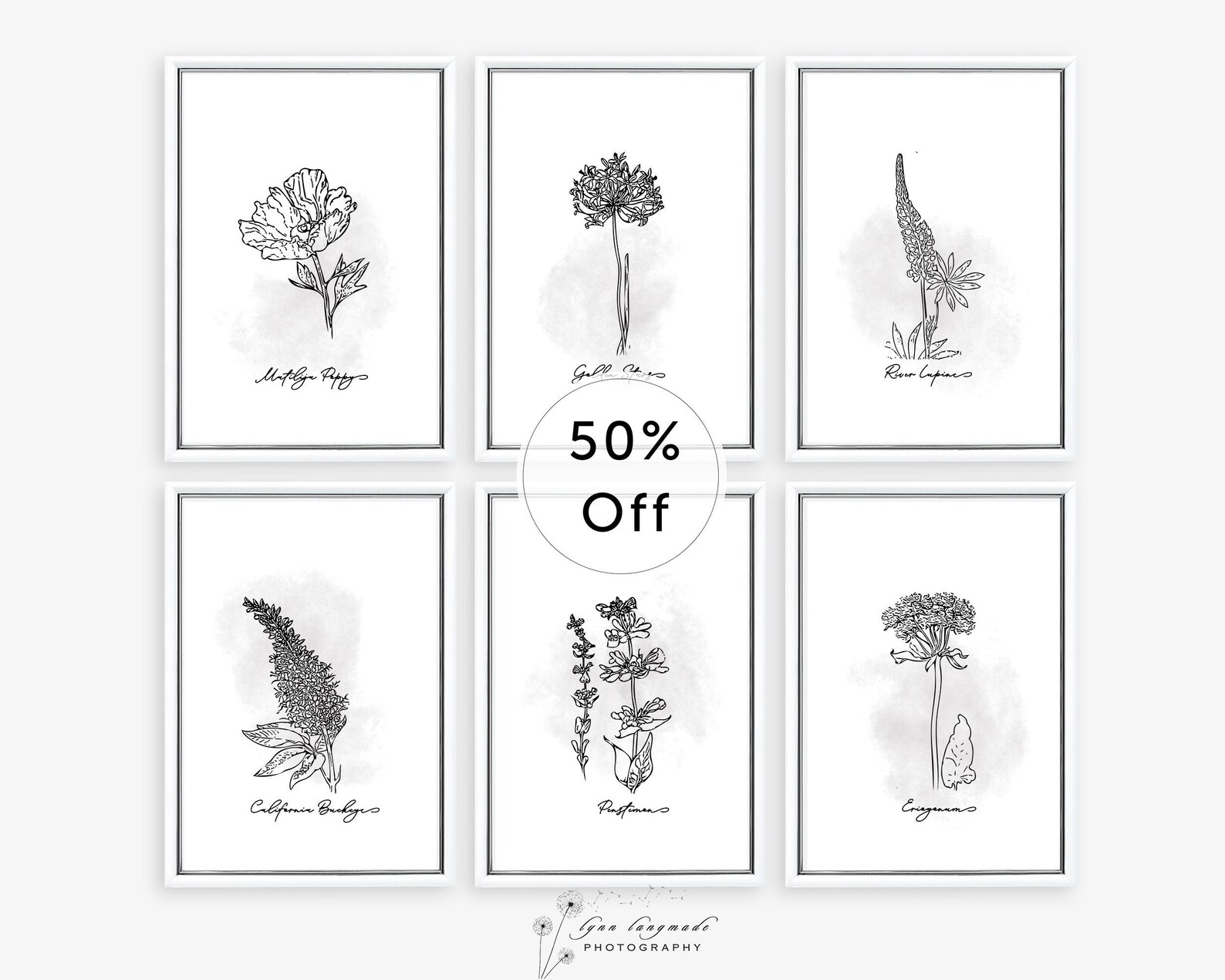 Botanical Print Set Set of 6 Prints Botanical Black and | Etsy
