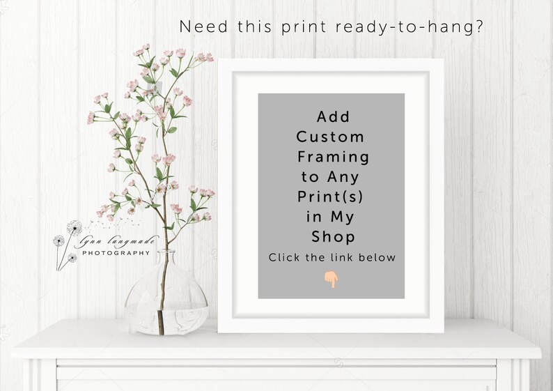 Puede incluir: Una impresi&oacute;n enmarcada en blanco con un fondo gris muestra el texto: "A&ntilde;ade un enmarcado personalizado a cualquier impresi&oacute;n en mi tienda". Un jarr&oacute;n transparente con flores rosas est&aacute; a la izquierda. El texto "&iquest;Necesitas esta impresi&oacute;n lista para colgar?" est&aacute; en la parte superior.
