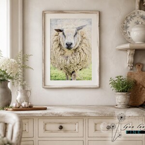 May include: A framed wall art print featuring a front-facing, thick-fleeced sheep standing in a green pasture. The artwork is displayed in a light-colored wooden frame, showcasing the detailed texture of the sheep's wool and its calm expression.