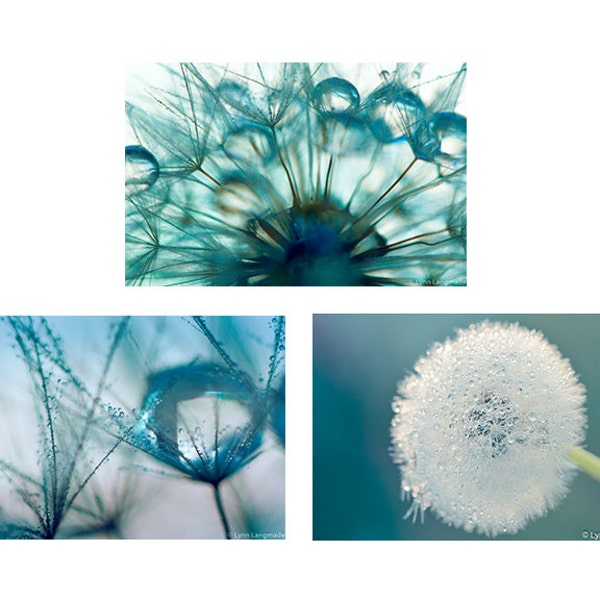 Dandelion Bathroom Print Set - Set of 3 dandelion prints 8x10 teal winter photography rain 11x14 blue dandelion photography 16x20 wall art