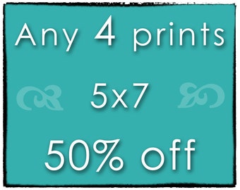 DISCOUNT SET - Any 4 Prints - Four 5x7 Photographs of Your Choice - Save 50%