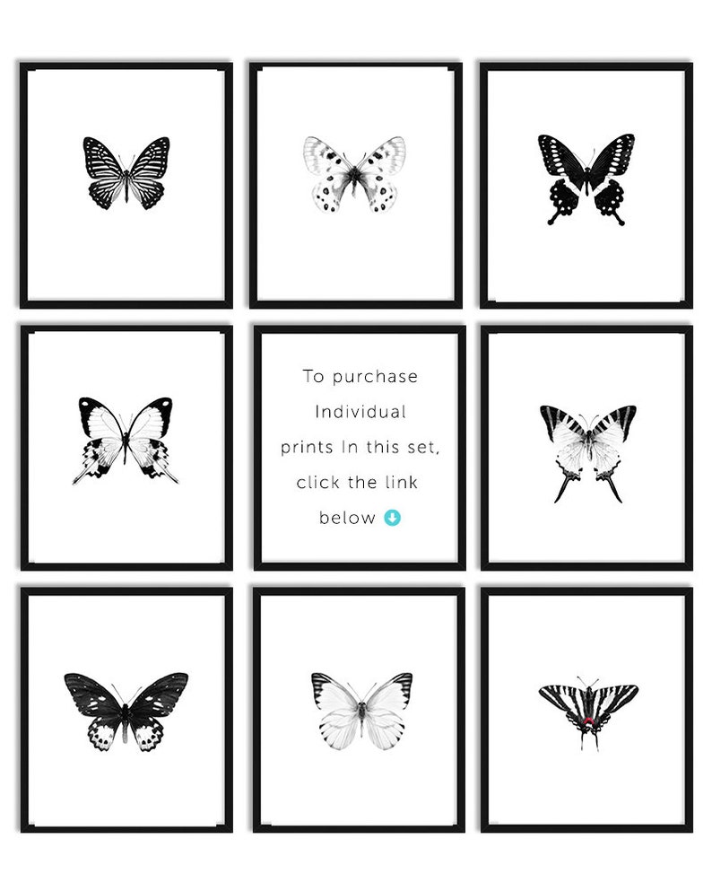 Butterfly Framed Art SET of 9 black and white butterfly art Etsy