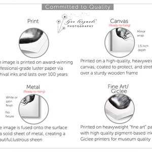 May include: Informational graphic detailing print options: print, canvas, metal, and fine art/giclee. Each option is described with text and a circular image. The text includes the phrase "Committed to Quality" and the photographer's name.