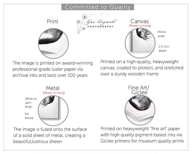 May include: Informational graphic detailing print options: print, canvas, metal, and fine art/giclee. Each option is described with text and a circular image. The text includes the phrase "Committed to Quality" and the photographer's name.