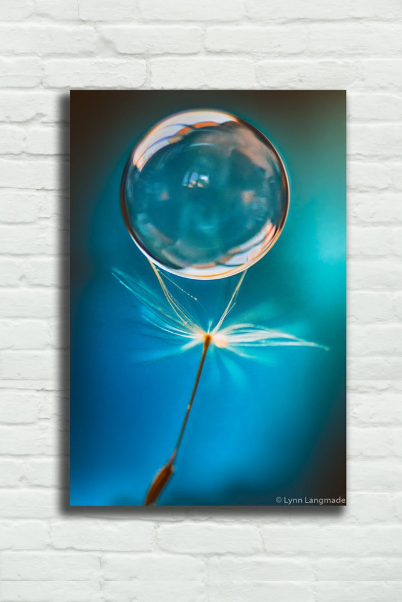 Dandelion Wall Art Blue Dandelion Canvas Art 8x12 Bubble Etsy