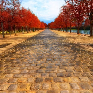 Landscape Photography - red autumn leaves and yellow path, red autumn photography, fiery red, autumn art, autumn wall prints- "Autumn Path"