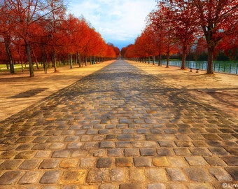 Landscape Photography - red autumn leaves and yellow path, red autumn photography, fiery red, autumn art, autumn wall prints- "Autumn Path"