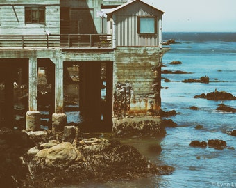 California Photography - Monterey Aquarium, California photos, ocean wall art, summer photos, vintage print blue brown, landscape "Timeless"