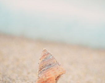 Beach Photography - seashell photograph, beige seashell against the ocean, beach wall prints, beach decor, blue photo - "Sound of the Sea"
