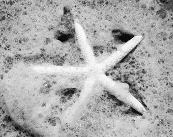 Black and White Photography - white finger starfish beach photography starfish decor black and white starfish beach wall art - "Star Struck"