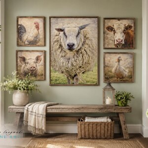 May include: A gallery wall arrangement featuring five framed prints of farm animals including a rooster, a pig, a sheep, a cow, and a duck. The prints are displayed above a wooden bench with a woven basket and a throw blanket underneath.