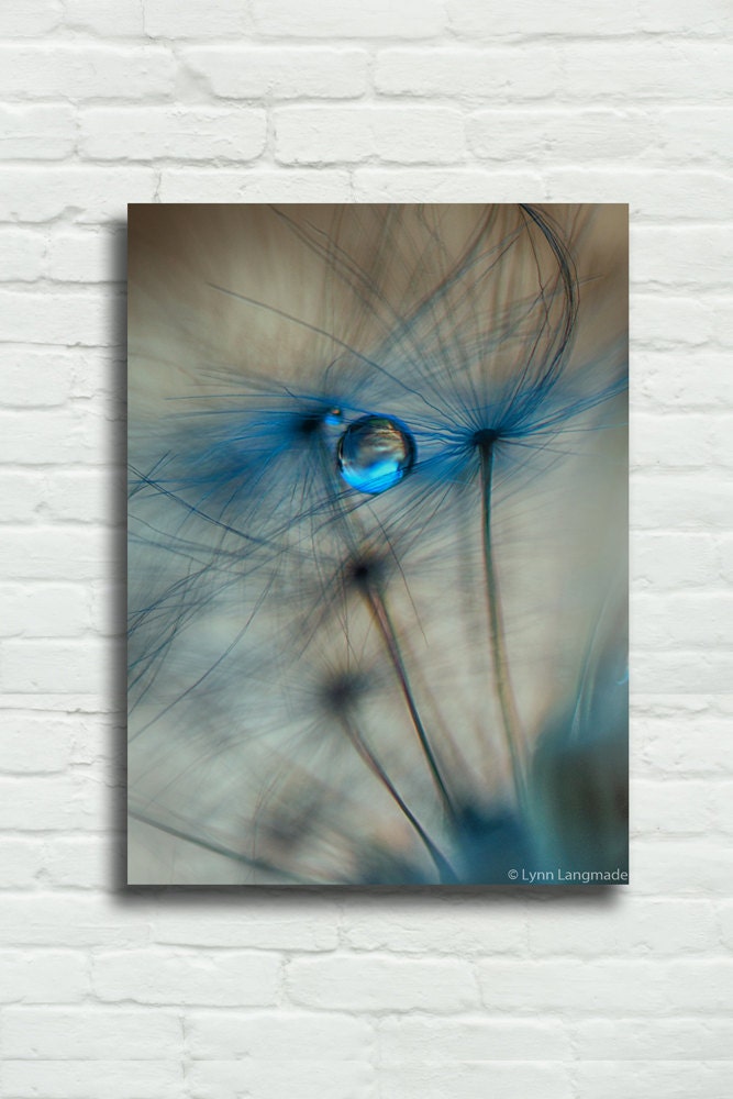 Blue Dandelion Canvas Art dandelion bathroom wall art 16x24 Etsy