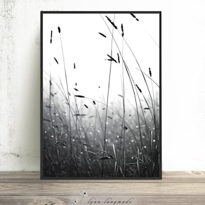 Grass Print - Bokeh Photography, Black and White Photography, Large Minimalist Black and white Art, 20x30, 30x40, Grass Photography