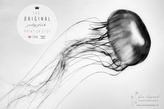 Jellyfish Print Black And White Extra Large Wall Art 40x60 Etsy