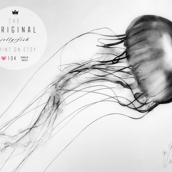 Jellyfish Print Black and White - Extra Large Wall Art 40x60, House Warming Gift, Living Room Wall Art 30x40, Beach House Decor 20x30 gray