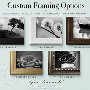 May include: Custom Framing Options display five frame styles: matte black, crisp white, warm walnut, brushed brass, and vintage silver. Each frame holds a black and white photograph. The text reads Custom Framing Options and lynn langmade FINE ART.