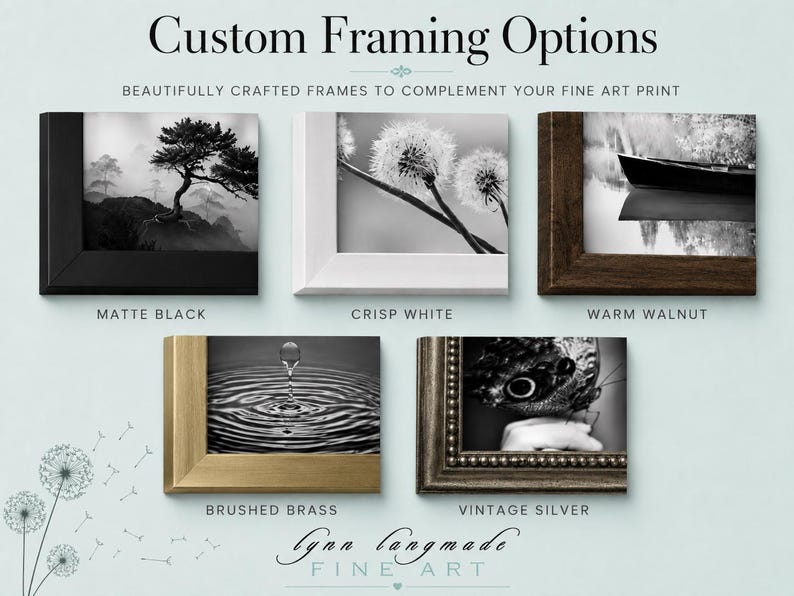 May include: Custom Framing Options display five frame styles: matte black, crisp white, warm walnut, brushed brass, and vintage silver. Each frame holds a black and white photograph. The text reads Custom Framing Options and lynn langmade FINE ART.