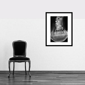 Black and White Photography jellyfish photograph, black and white jellyfish swimming, home decor, jellyfish wall prints Suspended image 3