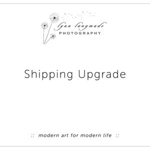 Shipping Upgrade