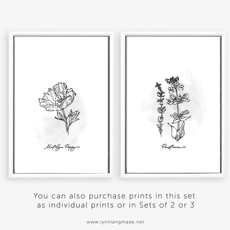 Botanical Print Set Set of 6 Prints Botanical Black and | Etsy