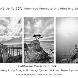 Black and White Photography tree Pacific ocean 20x30 coastal landscapes 16x20 tree pictures 11x14 tree photography large wall art Never image 6