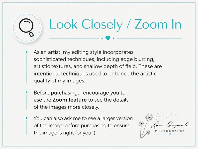 May include: A white informational graphic with teal text and accents. The header reads Look Closely / Zoom In. The text explains the artist's editing style, including edge blurring and textures, and encourages using the zoom feature to view details.