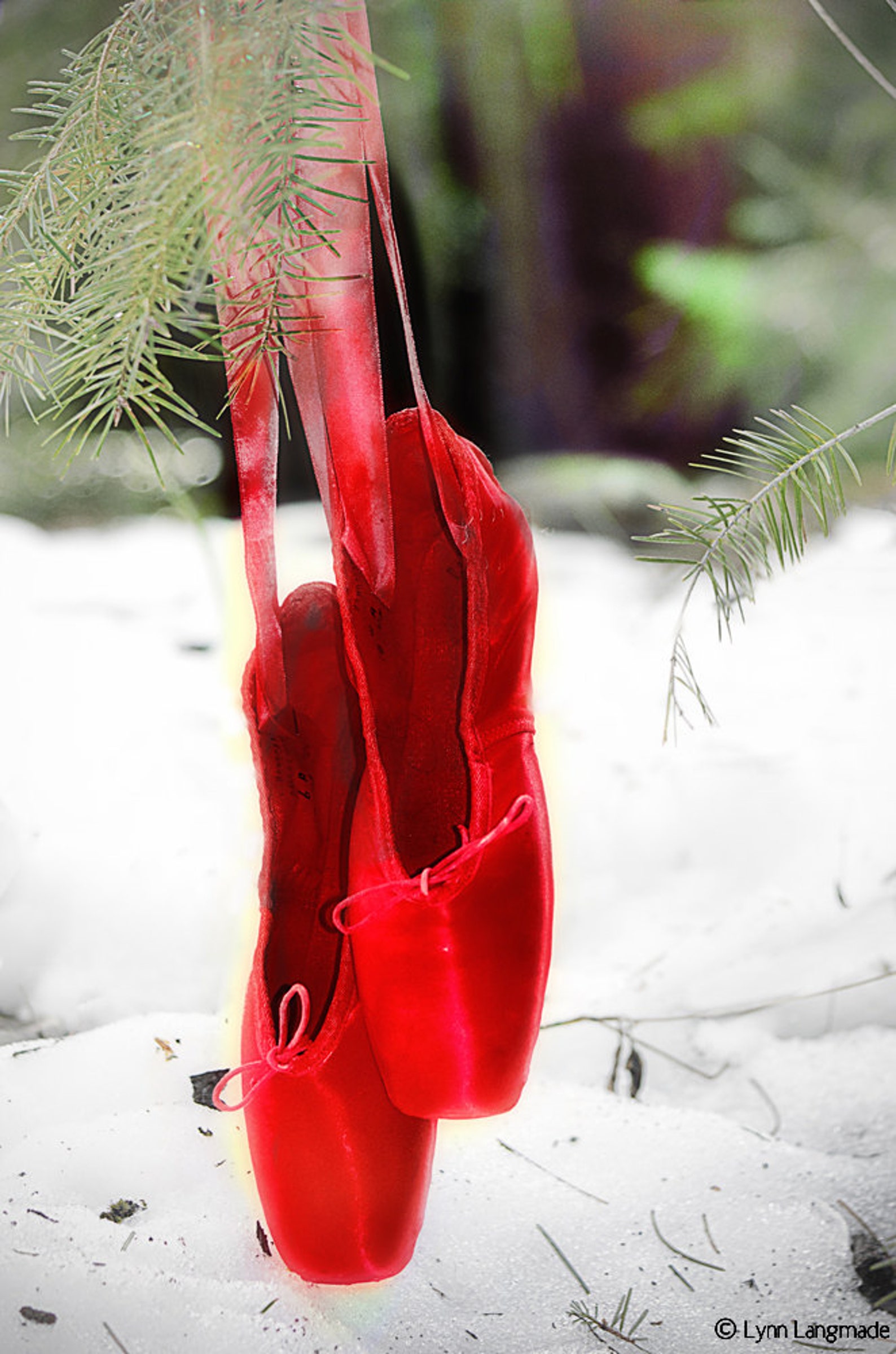 nature photography - red ballet shoes snow 8x10 valetine gift pointe shoes winter photography ballet wall art 11x14 red white -