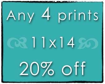 DISCOUNT SET - Any 4 Prints - FOUR 11x14 Photographs of Your Choice - Save 20%