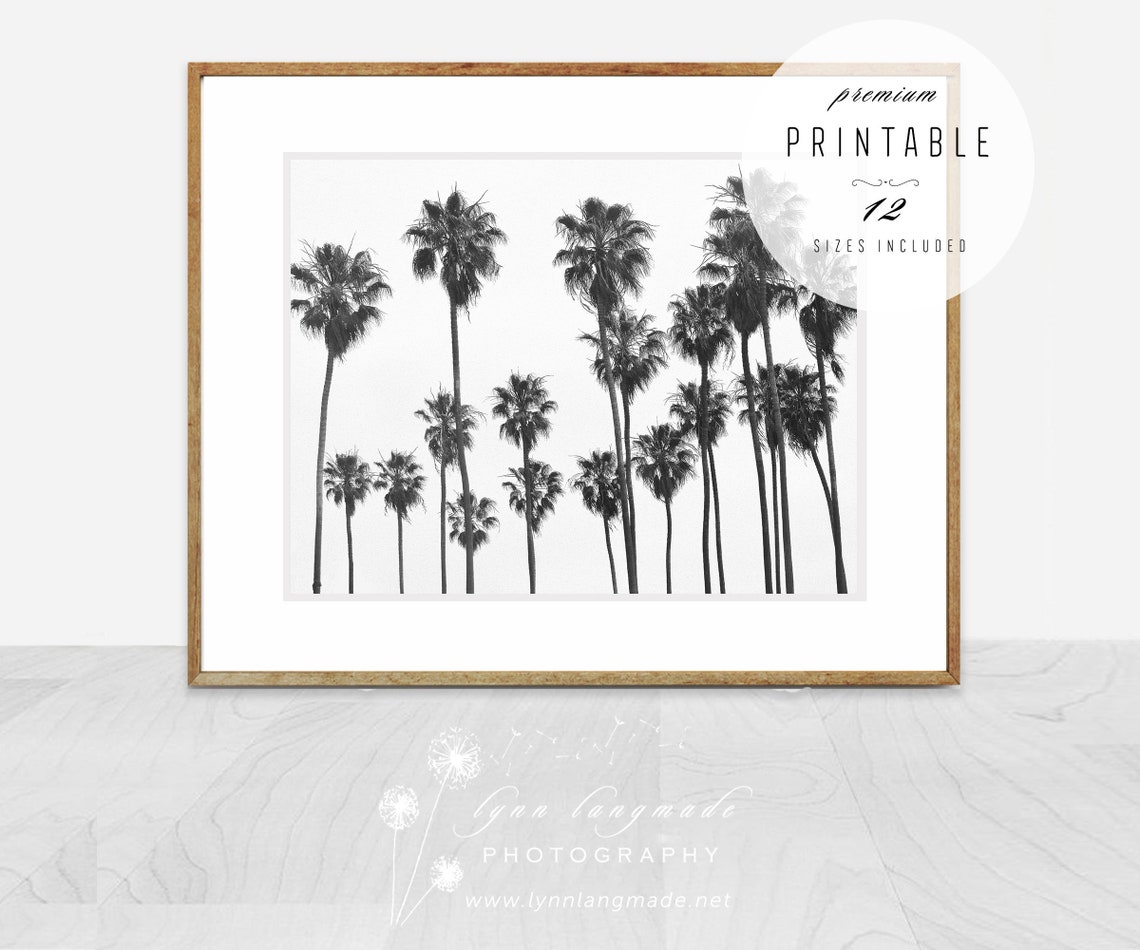 Palm Tree Wall Art Black and White Palm Trees Print - Etsy