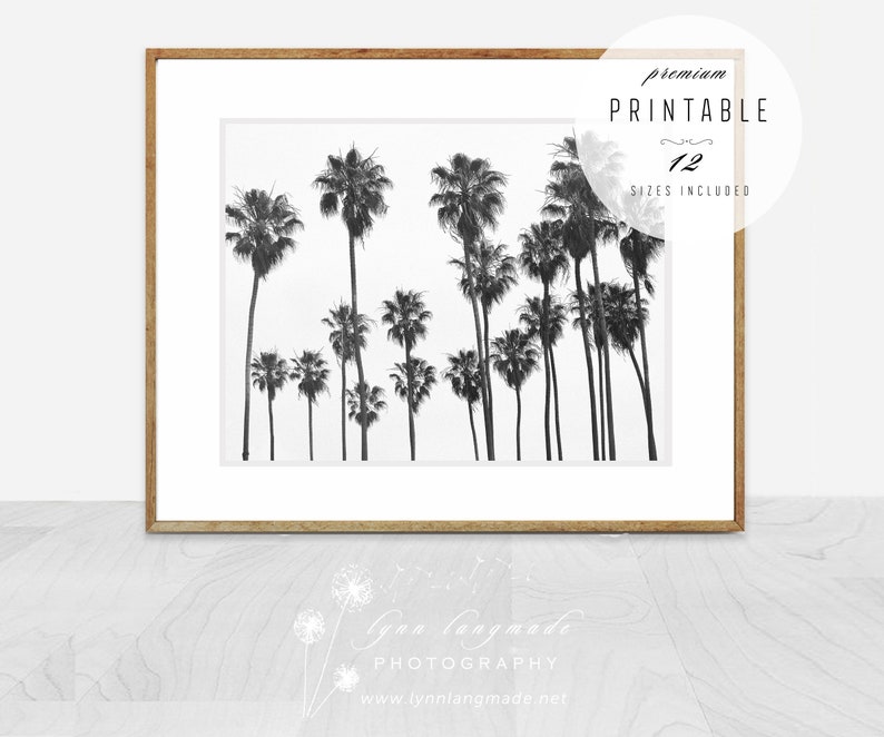 Palm Tree Wall Art - Black and White Palm Trees Print, Printable ...
