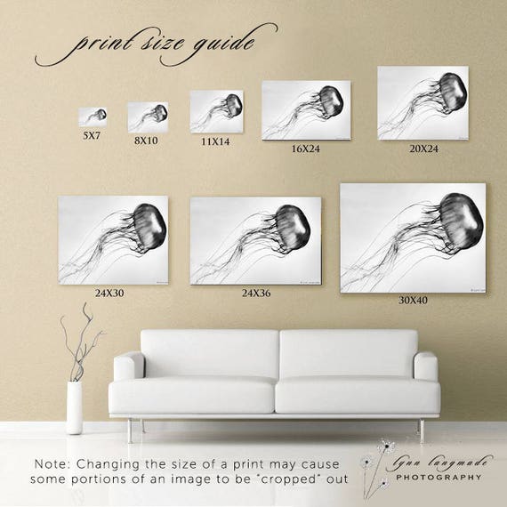 20x30 print deals