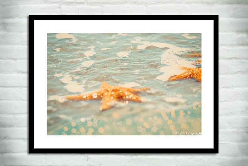 Starfish Photography orange starfish ocean underwater beach photography 11x14 8x10 coastal wall art starfish photo 16x20 Skinny Dippin image 2