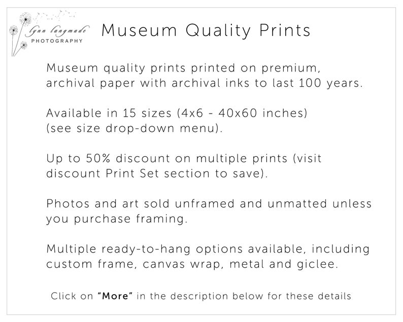 Op de afbeelding: Witte tekst op een witte achtergrond adverteert "Museumkwaliteit Prints" van Gan Langmade Photography. De tekst beschrijft archiefpapier, 15 formaten (ca. 10x15cm - 102x152cm), kortingen en inlijstopties zoals canvas en metaal.