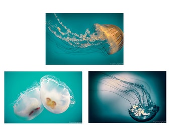 Teal Jellyfish Print Set - set of 3 prints bathroom wall decor 8x10 jellyfish wall art 11x14 jellyfish wall decor 16x20 5x7 photo set