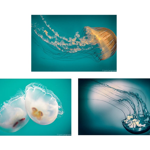 Teal Jellyfish Print Set - set of 3 prints bathroom wall decor 8x10 jellyfish wall art 11x14 jellyfish wall decor 16x20 5x7 photo set