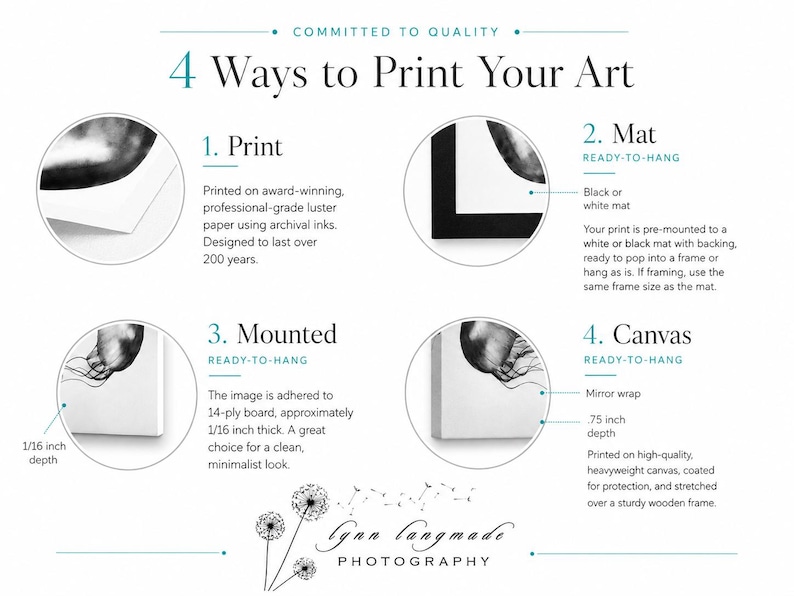 May include: An infographic titled 4 Ways to Print Your Art by Lynn Langmade Photography. It displays four options: a luster paper print, a matted print, a mounted print with 1/16 inch depth, and a canvas with .75 inch depth, each with details.