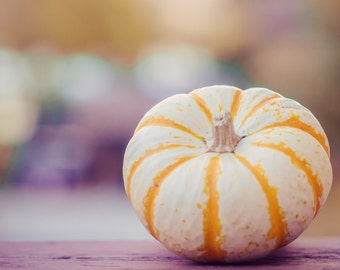 Fall Photography - white pumpkin orange stripes pumpkin art fall pictures purple halloween decor 11x14  8x10 photo autumn pictures "Whimsy""