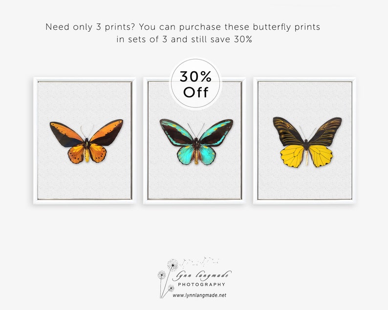 Butterfly Gifts Butterfly Prints SET of 9 Real Rainbow Etsy