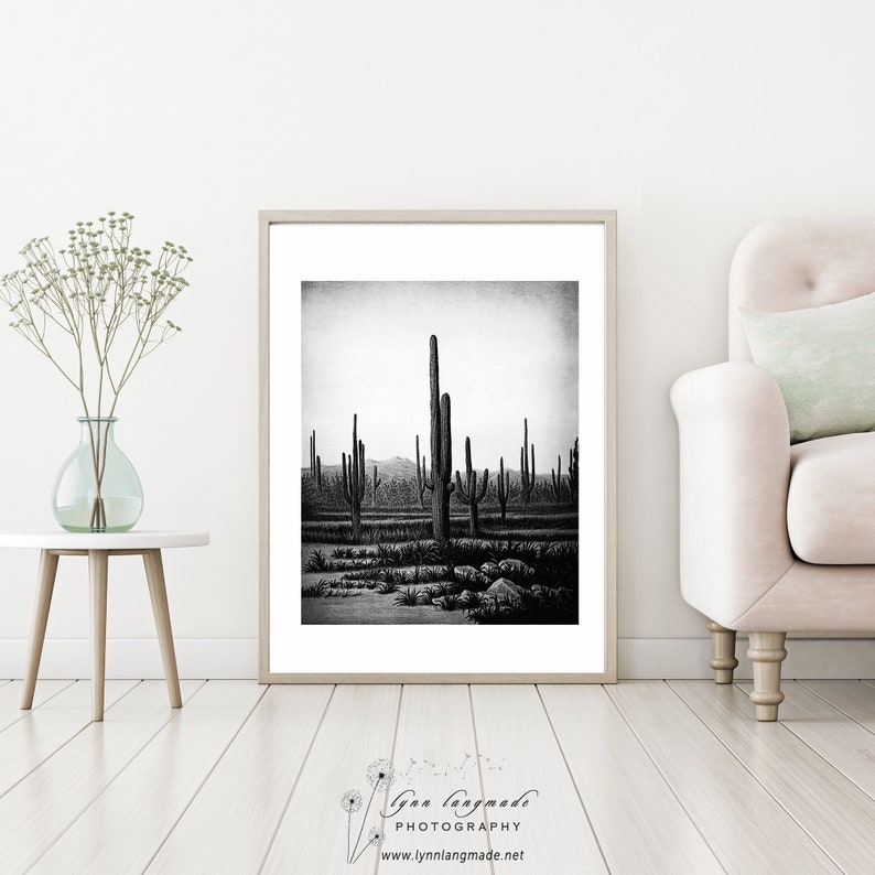 Cactus Wall Decor Black and White Cactus Print Southwestern Etsy