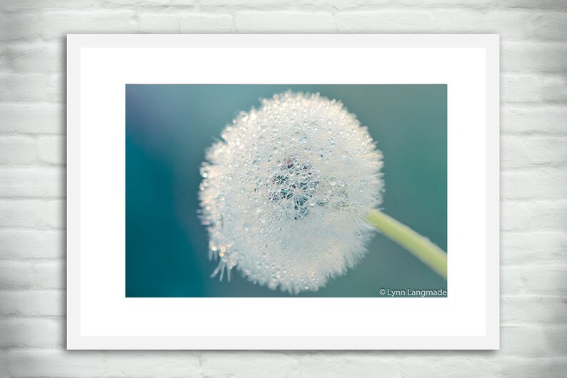 Dandelion Wall Art Dandelion Print Blue Bathroom Wall Decor Etsy