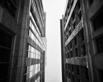 Black and White Photography - black and white photo of two buildings in San Francisco, architecture, city, home decor - "Urban Wings"