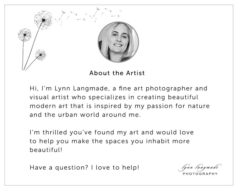 May include: A black and white graphic featuring the text "About the Artist" and a portrait of a woman. The text below describes the artist, Lynn Langmade, a fine art photographer specializing in modern art inspired by nature and the urban world.