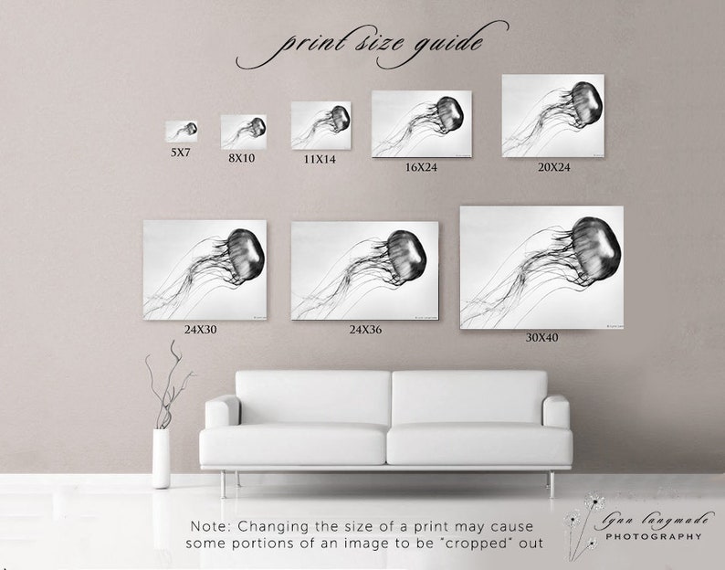 May include: A print size guide displays various sizes of a black and white jellyfish photograph. Sizes range from 5x7 inches to 30x40 inches. The text "print size guide" is at the top. The artist's name is at the bottom.