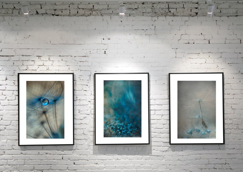 Dandelion Photo Set Set of 3 dandelion photographs three blue beige dandelions 3 prints bedroom decor dandelion photography 11x14 16x24 image 4