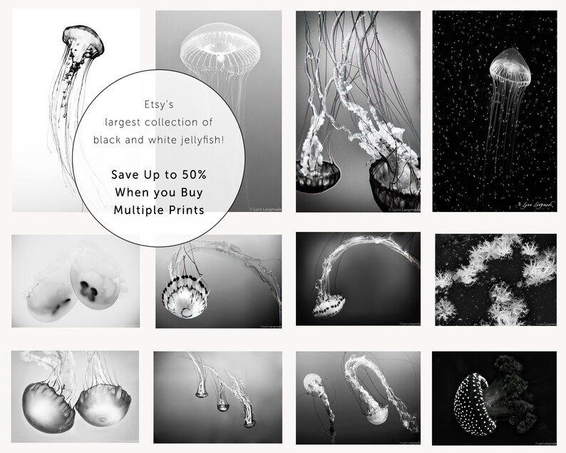 Black and White Photography jellyfish photograph, black and white jellyfish, ocean, sea, beach home decor, jellyfish prints Soul Mates image 5