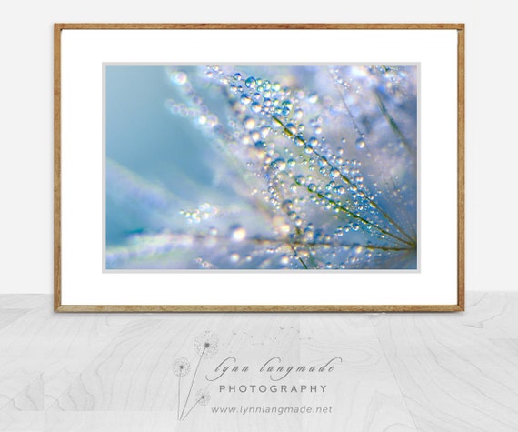 Rain Drops Water Drops Macro Photography Dreamy Dandelion Flower Photographic Print Bathroom Decor Modern Bathroom Wall Art Bathroom Wall Picture