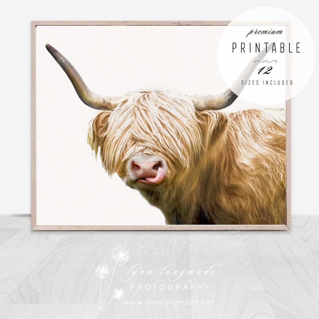 Highland Cow Art Highland Cow Print Printable Boho Animal - Etsy