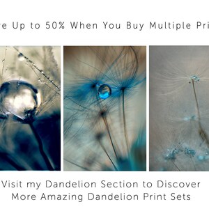 Flower Photography blue dandelion print winter print nature photography blue wall decor flower art 8x10 prints raindrops 11x14 16x20 brown image 6