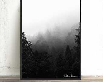 Foggy Forest Art-  black and white ombre print 16x20 redwood forest print 20x30 redwood trees photo, foggy art minimalist "A Place to Hide"